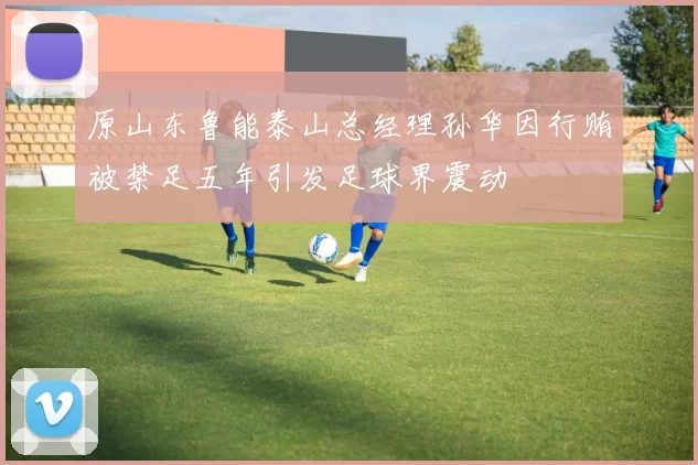 原山东鲁能泰山总经理孙华因行贿被禁足五年引发足球界震动